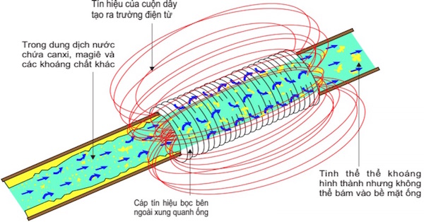 cong-nghe-tes-bien-doi-cau-truc-tinh-the-nuoc-ra-sao