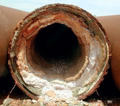 tai-sao-nhieu-doanh-nghiep-lon-tai-viet-nam-chuyen-tu-dien-tu-truong-sang-tes