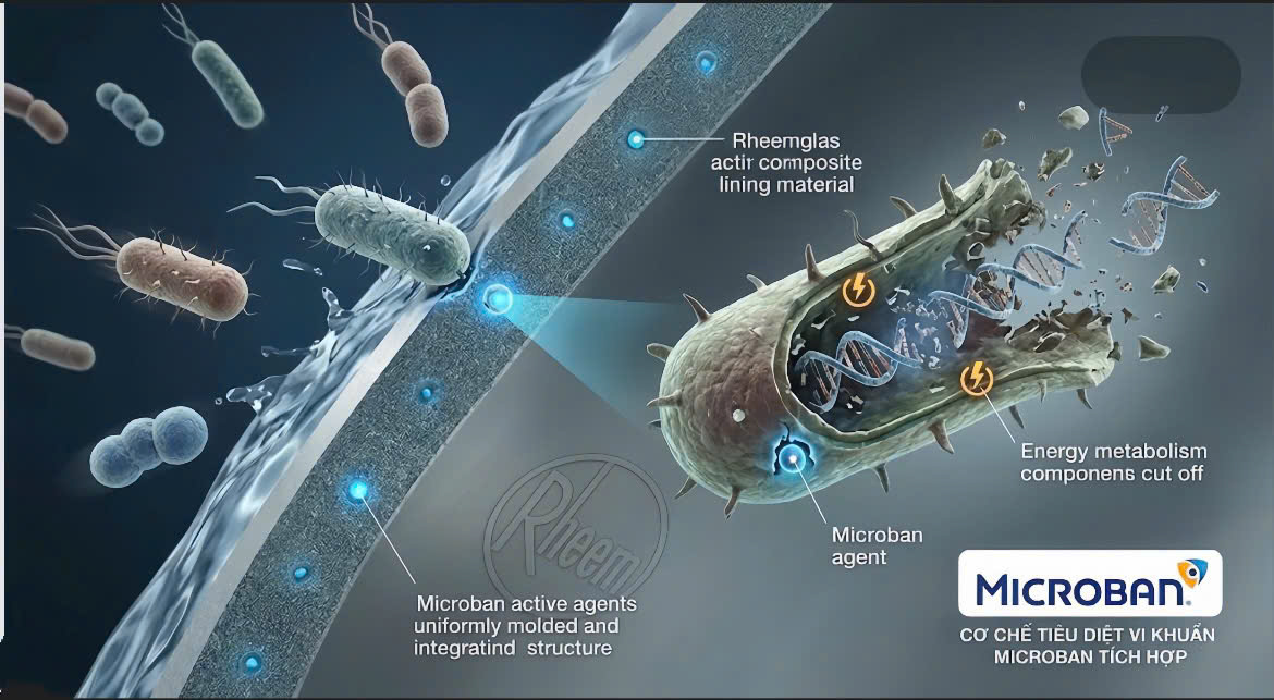 co-che-tieu-diet-vi-khuan-cua-cong-nghe-microban-trong-binh-chua-rheem-hoat-dong-ra-sao